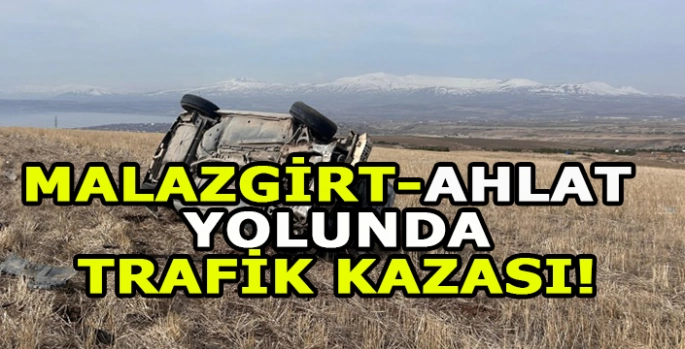 Malazgirt-Ahlat yolunda trafik kazası!