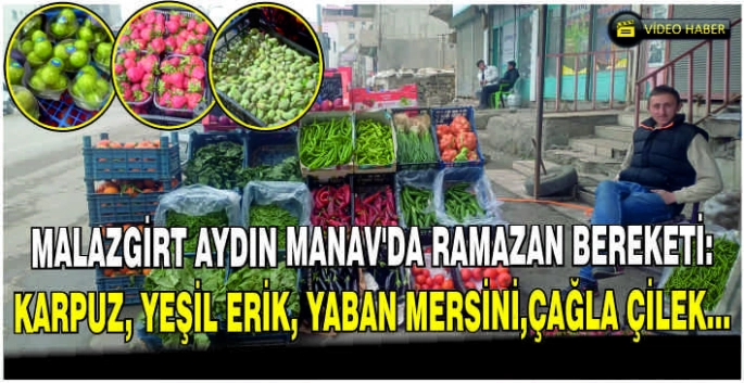 Malazgirt Aydın Manav’da yaz bereketi: Karpuz, Yeşil Erik, Yaban Mersini, Çilek…