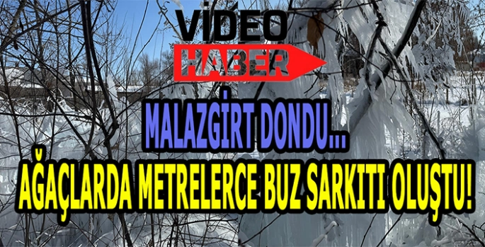 Malazgirt dondu: Ağaçlarda metrelerce buz sarkıtı oluştu!