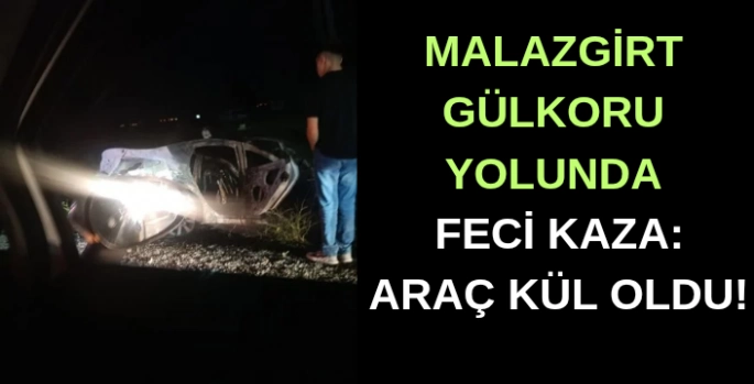 Malazgirt-Gülkoru yolunda feci kaza: Araç kül oldu