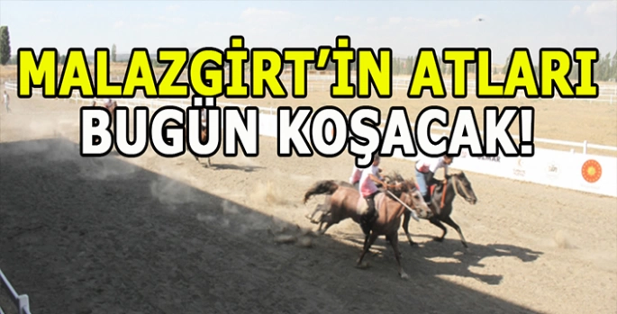 Malazgirt’in asil atları sahneye çıkıyor! Malazgirtliler mücadele edecek!