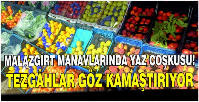 Malazgirt manavlarında yaz coşkusu! Tezgâhlar göz kamaştırıyor