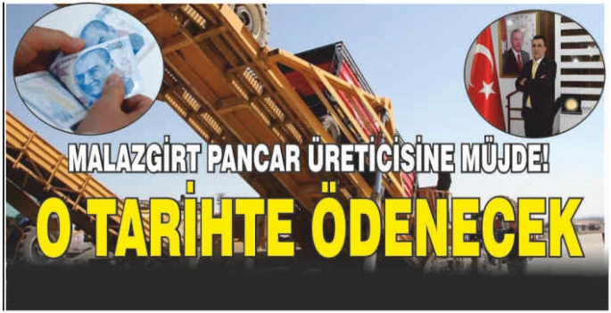 Malazgirt pancar üreticisine müjde! O tarihte ödenecek