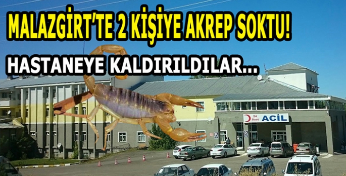 Malazgirt’te 2 kişiye akrep soktu! Hastaneye kaldırıldılar