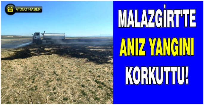 Malazgirt'te anız yangını korkuttu