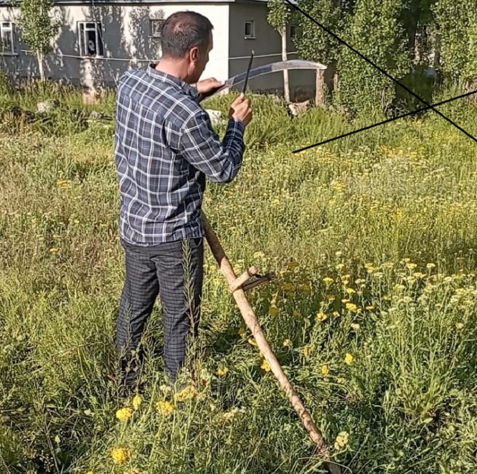 Malazgirt’te asırlık ot biçme aracı tırpan teknolojiye meydan okuyor(video)