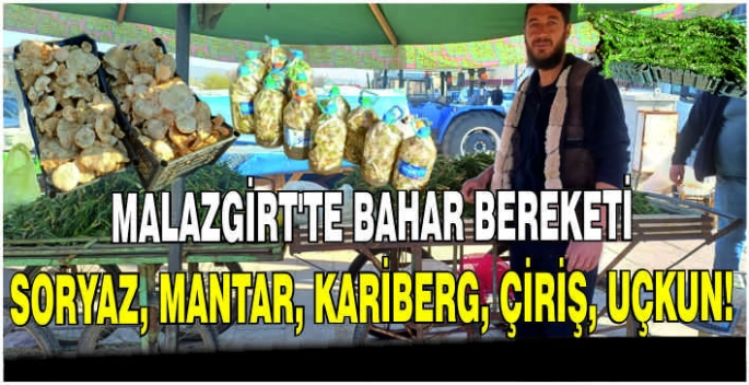 Malazgirt’te bahar bereketi! Soryaz, Mantar, Kariberg, Çiriş, Uçkun!