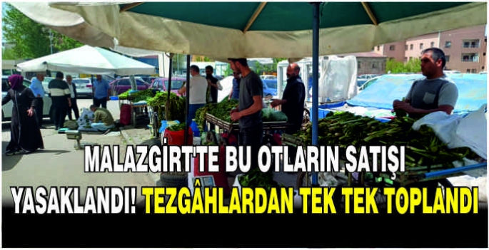 Malazgirt’te bu otların satışı yasaklandı! Tezgâhlardan tek tek toplandı