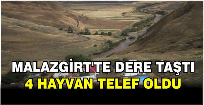Malazgirt'te dere taştı: 4 hayvan telef oldu