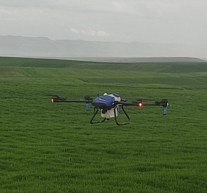 Malazgirt’te dronla ilaçlama… 10 dakikada 10 dönüm