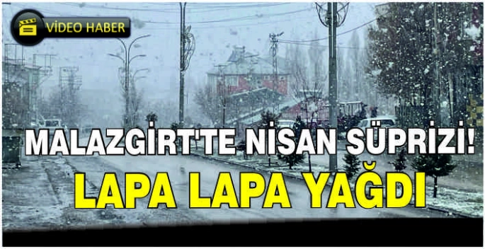 Malazgirt’te Nisan sürprizi ! lapa lapa yağdı