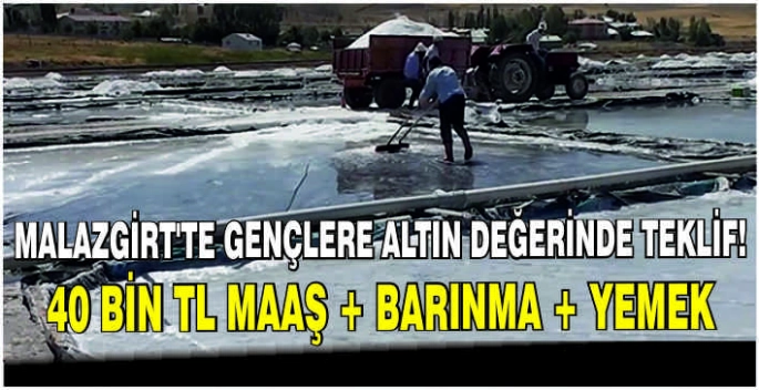 Malazgirt’te Gençlere Altın Değerinde Teklif! 40 Bin TL Maaş + Barınma + Yemek