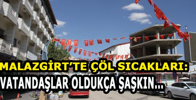 Malazgirt'te İlkbaharda Çöl Sıcakları: Vatandaşlar şaşkın 