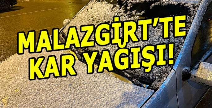 Malazgirt'te kar yağışı: Kış ben bitmedim diyor!