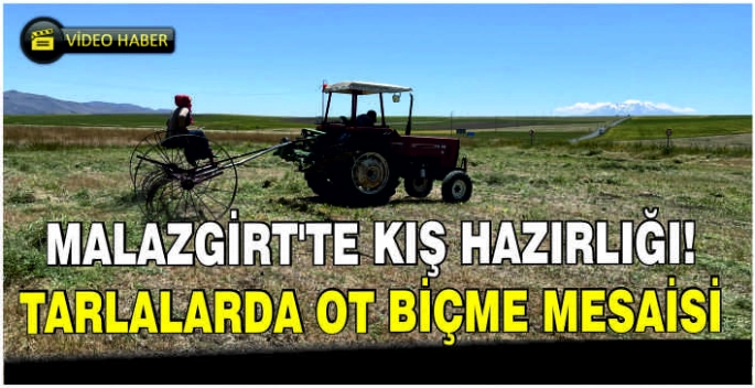 Malazgirt’te kış hazırlığı! Tarlalarda ot biçme mesaisi