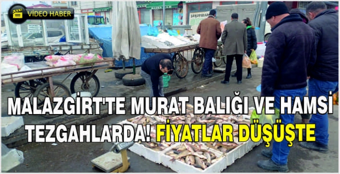 Malazgirt'te Murat Balığı ve Hamsi tezgahlarda! Fiyatlar düşüşte