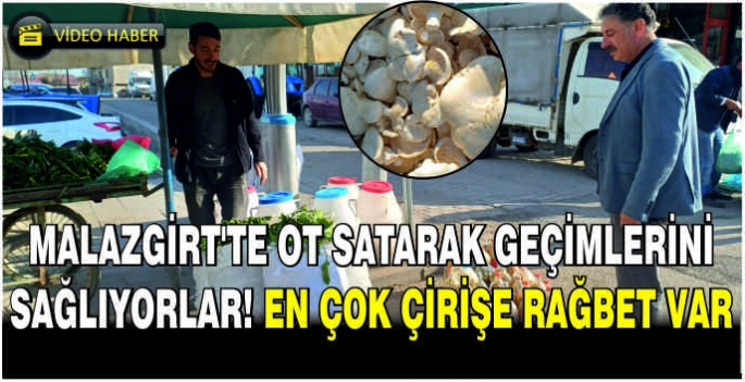 Malazgirt’te ot satarak geçimlerini sağlıyorlar! En çok çirişe rağbet var