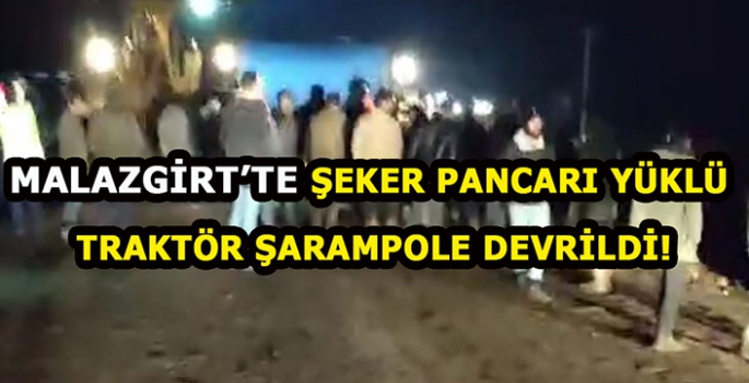 Malazgirt’te şeker pancarı yüklü traktör şarampole devrildi!