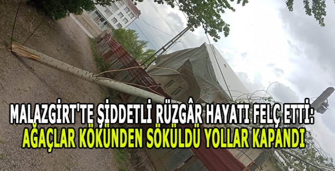 Malazgirt'te şiddetli rüzgâr hayatı felç etti: Ağaçlar kökünden söküldü yollar kapandı