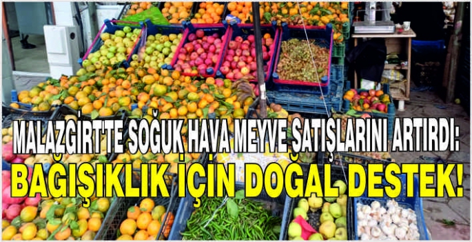 Malazgirt'te soğuk hava meyve satışlarını artırdı: Bağışıklık için doğal destek!