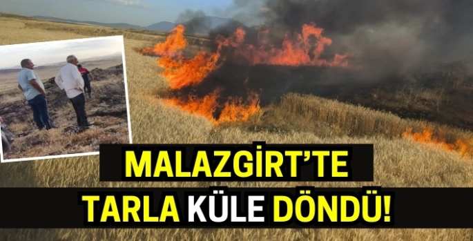 Malazgirt'te tarla yangını: Emekleri kül oldu!