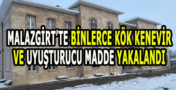 Malazgirt’te zehir operasyonu: Uyuşturucu maddeler ve 1173 Kök Kenevir!
