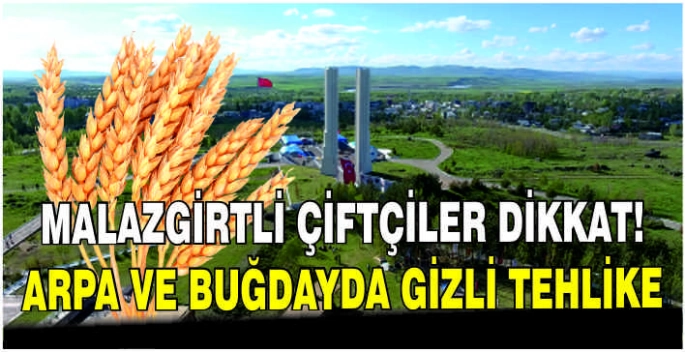 Malazgirtli çiftçiler dikkat! Arpa ve buğdayda gizli tehlike