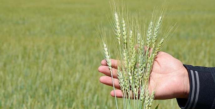 Malazgirtli çiftçiler dikkat! Son gün bugün 
