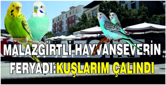 Malazgirtli hayvanseverin feryadı:Kuşlarım çalındı