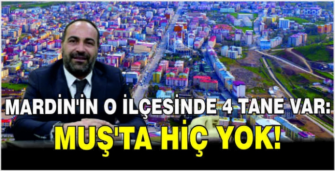 Mardin'in o ilçesinde 4 tane var: Muş'ta hiç yok!