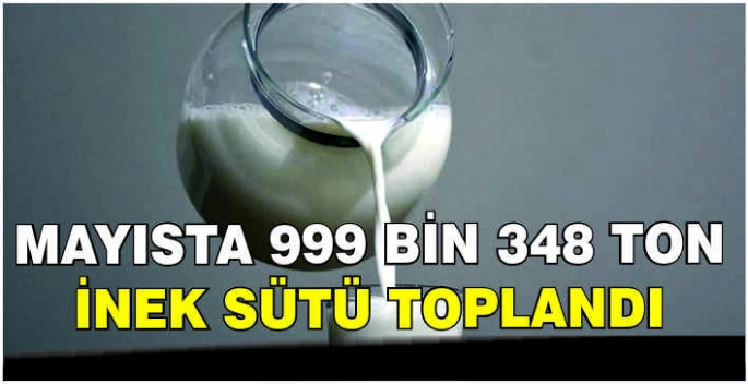 Mayısta 999 bin 348 ton inek sütü toplandı