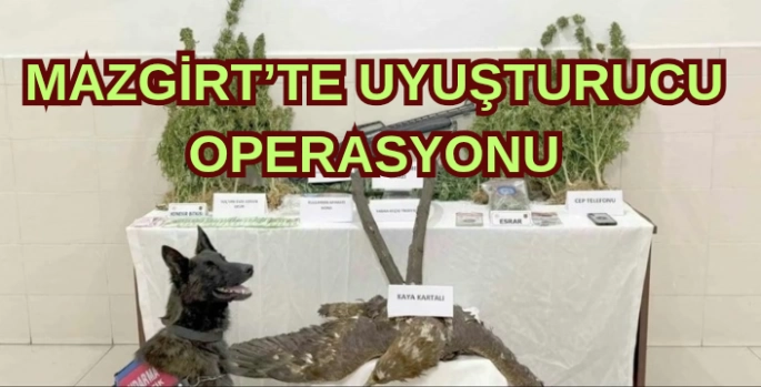 Mazgirt’te uyuşturucu operasyonu