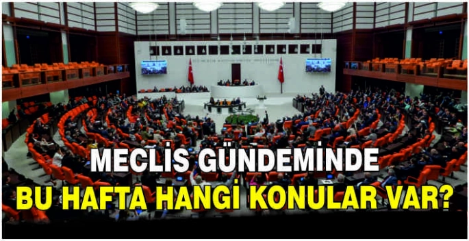 Meclis gündeminde bu hafta hangi konular var?