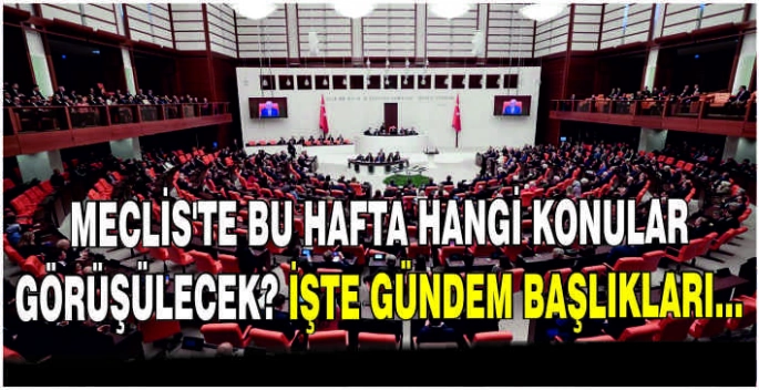 Meclis'te bu hafta hangi konular görüşülecek? İşte gündem başlıkları...