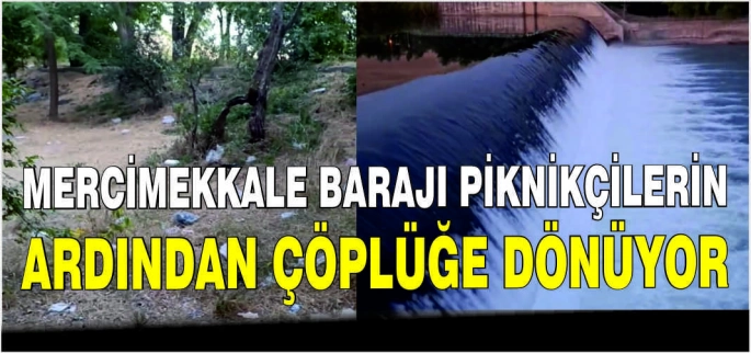 Mercimekkale Barajı piknikçilerin ardından çöplüğe dönüyor