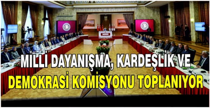 Milli Dayanışma, Kardeşlik ve Demokrasi Komisyonu toplanıyor