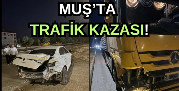 Muș'ta trafik kazası meydana geldi