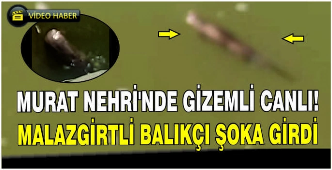 Murat Nehri’nde gizemli canlı! Malazgirtli balıkçı şoka girdi