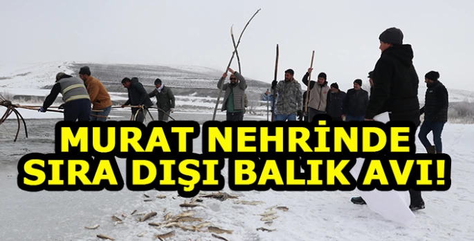 Murat Nehrinde sıra dışı balık avı: Dirgen Tor ile balıkçılık!