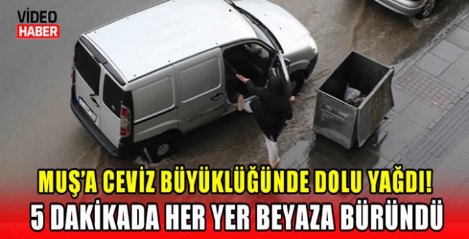 Muş’a ceviz büyüklüğünde dolu yağdı! 5 dakikada her yer beyaza büründü