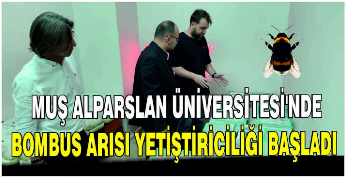 Muş Alparslan Üniversitesi’nde Bombus Arısı yetiştiriciliği başladı