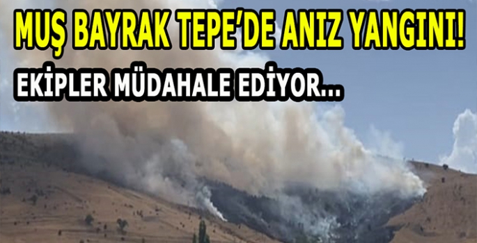 Muş Bayrak tepede anız yangını! Söndürülmeye çalışılıyor