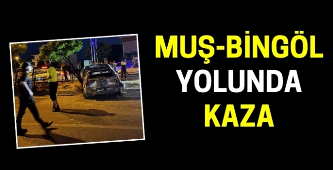 Muş-Bingöl yolunda kaza: Yaralılar var!