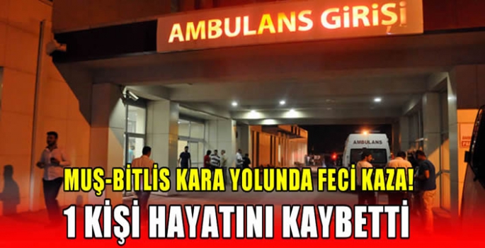 Muş-Bitlis kara yolunda feci kaza! 1 kişi hayatını kaybetti