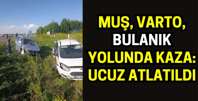 Muş Bulanık Varto yol ayrımında kaza: Ucuz atlatıldı!