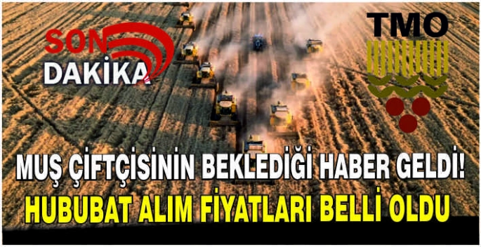  Muş çiftçisinin beklediği haber geldi! Hububat alım fiyatları belli oldu
