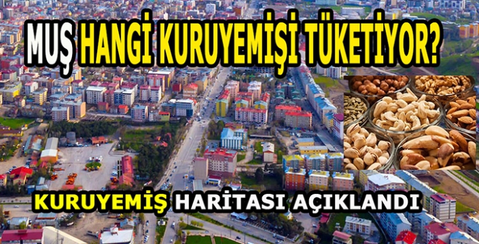 Muş hangi kuruyemişi tüketiyor? Hangi il hangi kuruyemişi tercih ediyor…