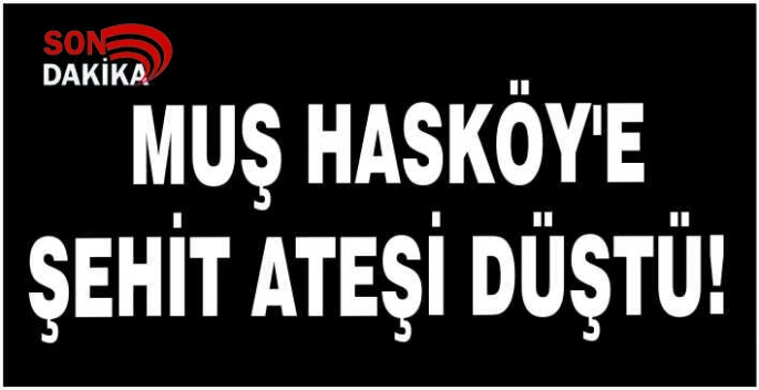 Muş Hasköy'e Şehit ateşi düştü