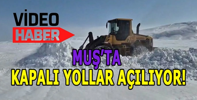 Muş İl Özel İdaresi Ekipleri kapalı yolları açıyor: Zenkök yolunda çalışmalar devam ediyor!
