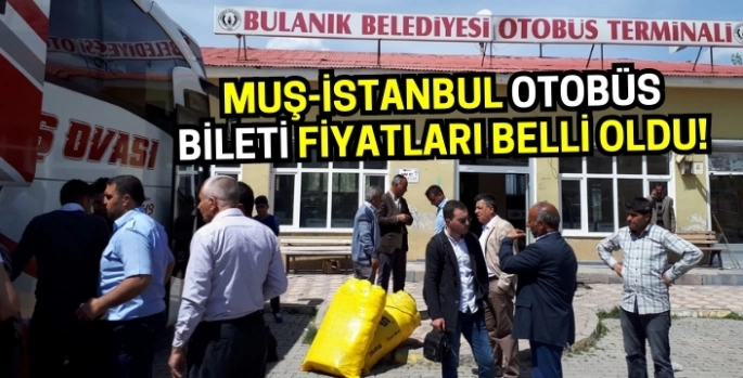 Muş İstanbul otobüs bileti fiyatları belli oldu!